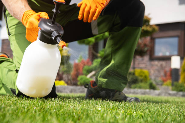 Best Cockroach Control Services  in Knightdale, NC